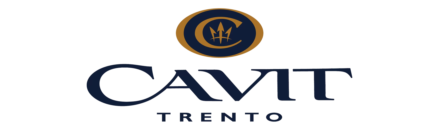Logo Cavit